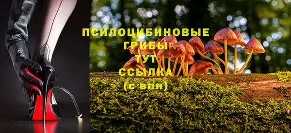 мяу мяу мука Абаза