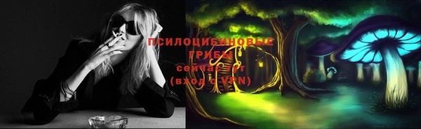 дмт Абинск