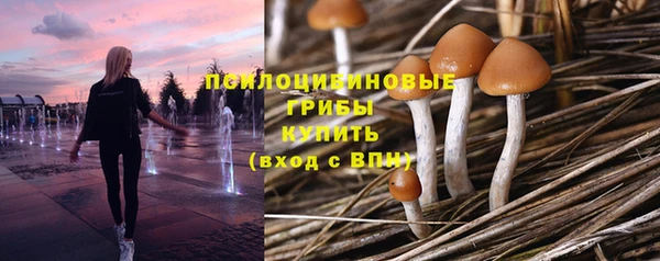 дмт Абинск